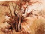 Arbol del olvido 